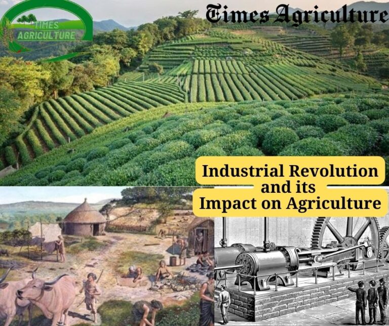 How Did The Agricultural Revolution Affect The Industrial Revolution?